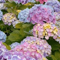 all