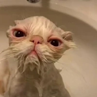 ?????