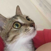 T/g thấy rất là…