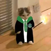 Nhóm Draco