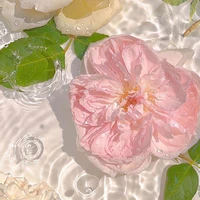 Celine đáng yeww