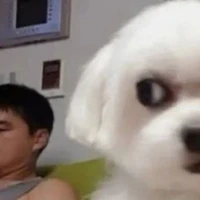 Tác giả chiến đo 😏😏