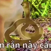 Đa NV