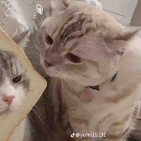 Tác giả lười bín=)