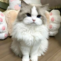 Hệ thống