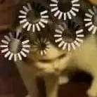 con t/g thiếu ý tưởng