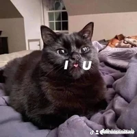 Tác giả