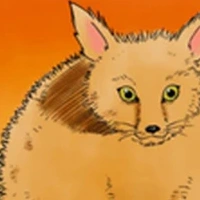 kon