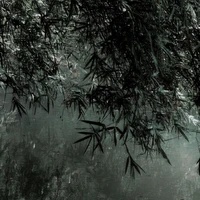 người bán âm nhạc