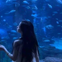 Trương Triệu Nhiên( Y/n)