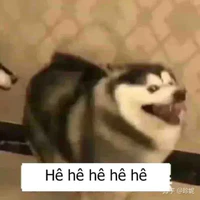 Tg đu otp