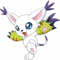 Tailmon 