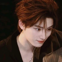 Đinh Trình Hâm (em)