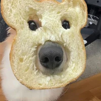 diễn viên quần chúng:)))