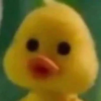 Tui là vịt