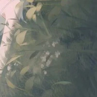 ♪🌱ヅ