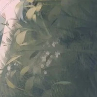 ♪🌱ヅ