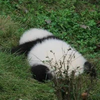 – ¿?🌱