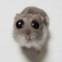 All ( trừ ai cần trừ )