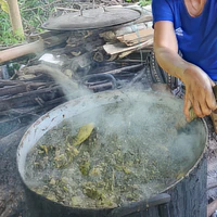 Cả lớp