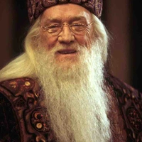 Albus Dumbledore 