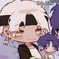 °Lay°