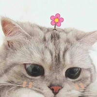 🌸AD~ 🌸