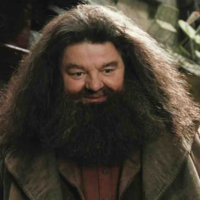 Rubeus Hagrid