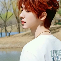 Hạ Tuấn Lâm