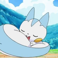 Pachirisu_Miyoko