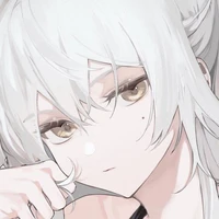 L/n Y/n