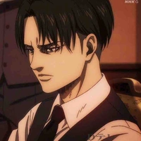 Levi Ackerman 