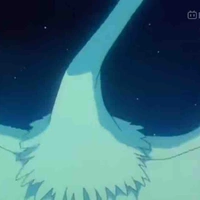 Fly 