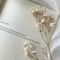 Ngu hóa nhất thế giới