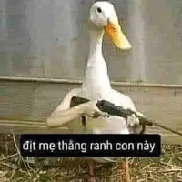 ？？？