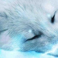 Nhân vật phụ tổng hợp