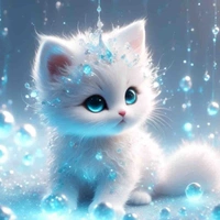 Eira