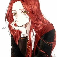 Herry Potter