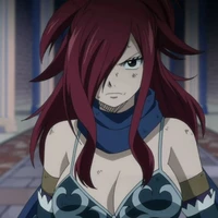 Erza Knightwalker