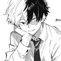 Todoroki Shoto/Shoto