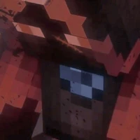 Jaki