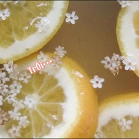 Trôi Sông Đà {tác giả}