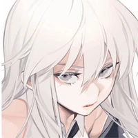 Y/N