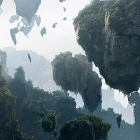 NV Tổng Hợp