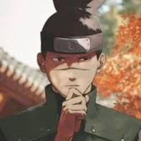 Iruka(O)