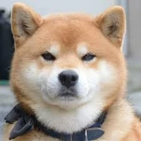 tanijro