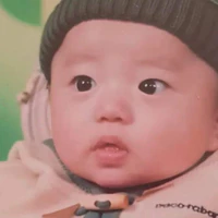 Sứa aka tác giả