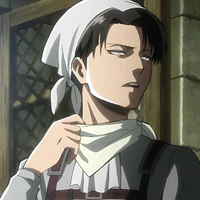 Levi