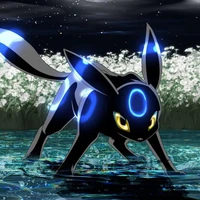 Blacky Shiny(Ash)