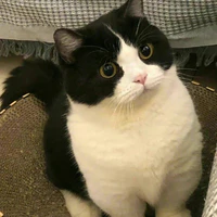 Tamaka Keke